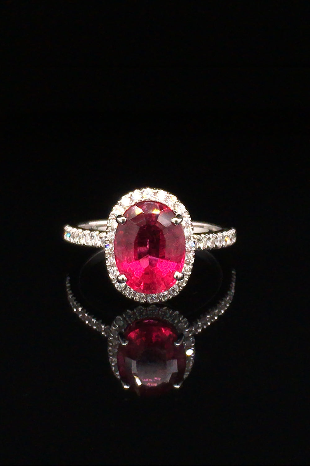 18K white gold ring with an oval rubellite with a diamond halo on a black background